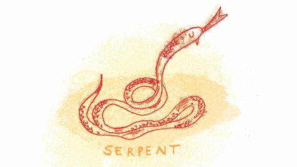 dessin d'un serpent orange