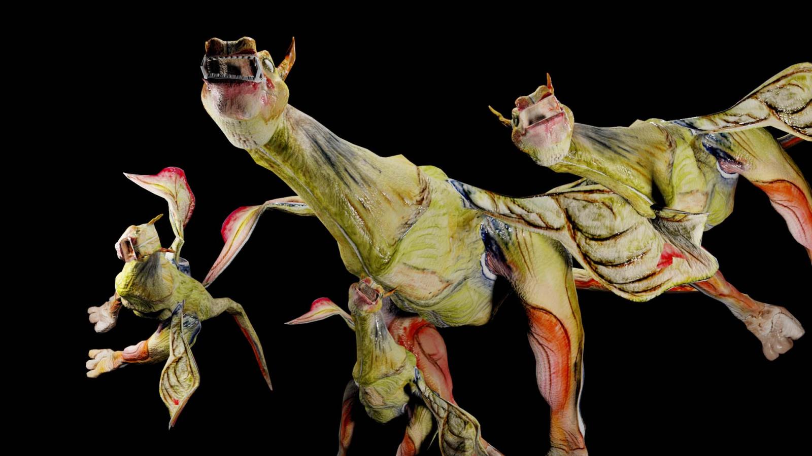 dragons